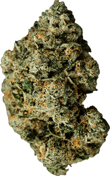 Jet Fuel Gelato